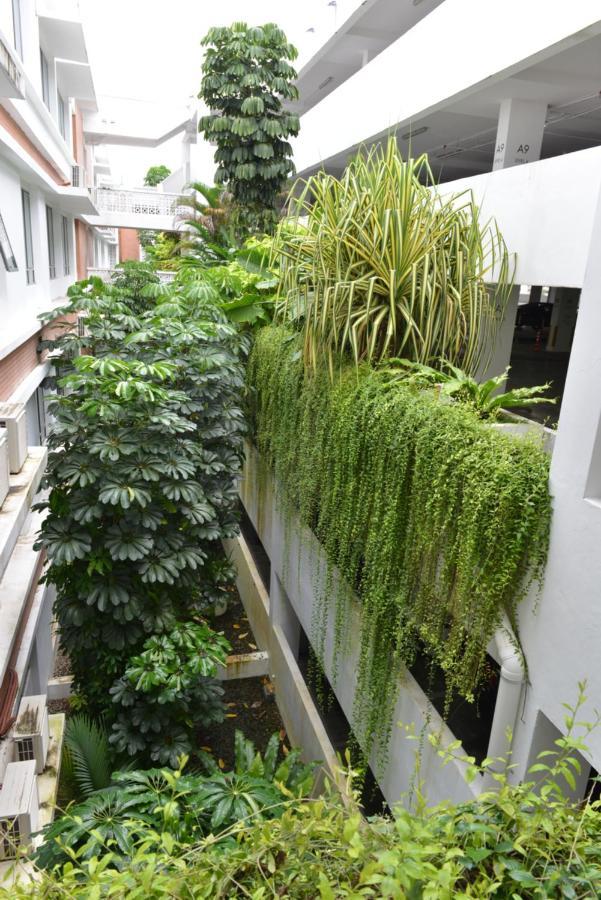 My Daily Homestay - Miri Times Square Exterior foto